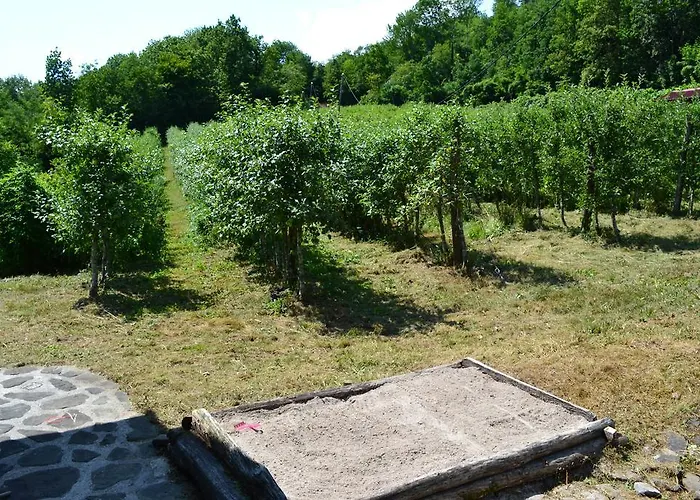 Hisa V Sadovnjaku * Logje